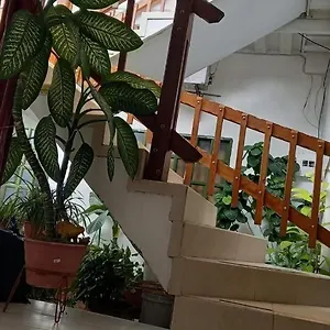 Senorial Palmira Pensión